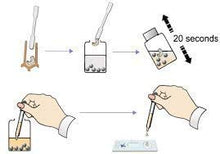 Load image into Gallery viewer, EFB- European Foulbrood Test Kit