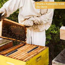 Load image into Gallery viewer, Daoeny 20Pcs Plastic Beetle Blaster Beehive Beekeeper Tools Beekeeping Supplies
