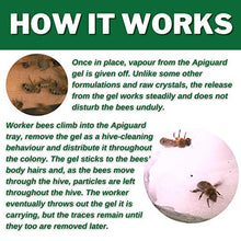 Load image into Gallery viewer, Apiguard ONE Box of Ten 50g Trays - 2 Trays per hive Recommended (10) - for Control of Varroa Mites in Honey Bee Hives