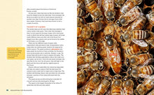 Load image into Gallery viewer, Beekeeping for Beginners: How To Raise Your First Bee Colonies
