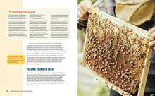 Load image into Gallery viewer, Beekeeping for Beginners: How To Raise Your First Bee Colonies