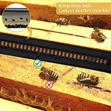 Load image into Gallery viewer, Daoeny 20Pcs Plastic Beetle Blaster Beehive Beekeeper Tools Beekeeping Supplies
