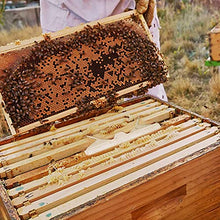 Load image into Gallery viewer, RAYFARMO Reusable Plastic Beehive Beekeeping Tools for Beekeeping Supplies,Small Hive Beekeeping Tools,12 Pack