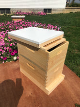 Load image into Gallery viewer, 2 deep (9 5/8) Beekeeping Bee Hive Body Only (Un-Assembled) Langstroth
