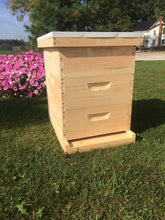 Load image into Gallery viewer, 3 Medium (6 5/8) w/Frames Beekeeping Bee Hive kit (Un-Assembled) Langstroth
