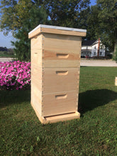 Load image into Gallery viewer, Bee Hive 2 Deep 2 Medium Complete BeeHive kit w/Frames &amp; Foundations (Un-Assembled) Langstroth
