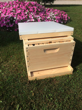 Load image into Gallery viewer, 9 5/8 Deep w/Frames Beekeeping Bee hive kit (Un-Assembled) Langstroth
