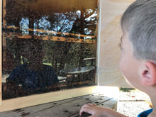 Load image into Gallery viewer, Observation Bee Hive Holds 12 Medium Frames with Double-side Plexi glass doors Fully Assembled FRAMES NOT INCLUDED
