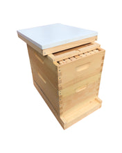 Load image into Gallery viewer, 1 Deep & 1 Medium w/Frames Beekeeping Bee Hive Assembled Langstroth