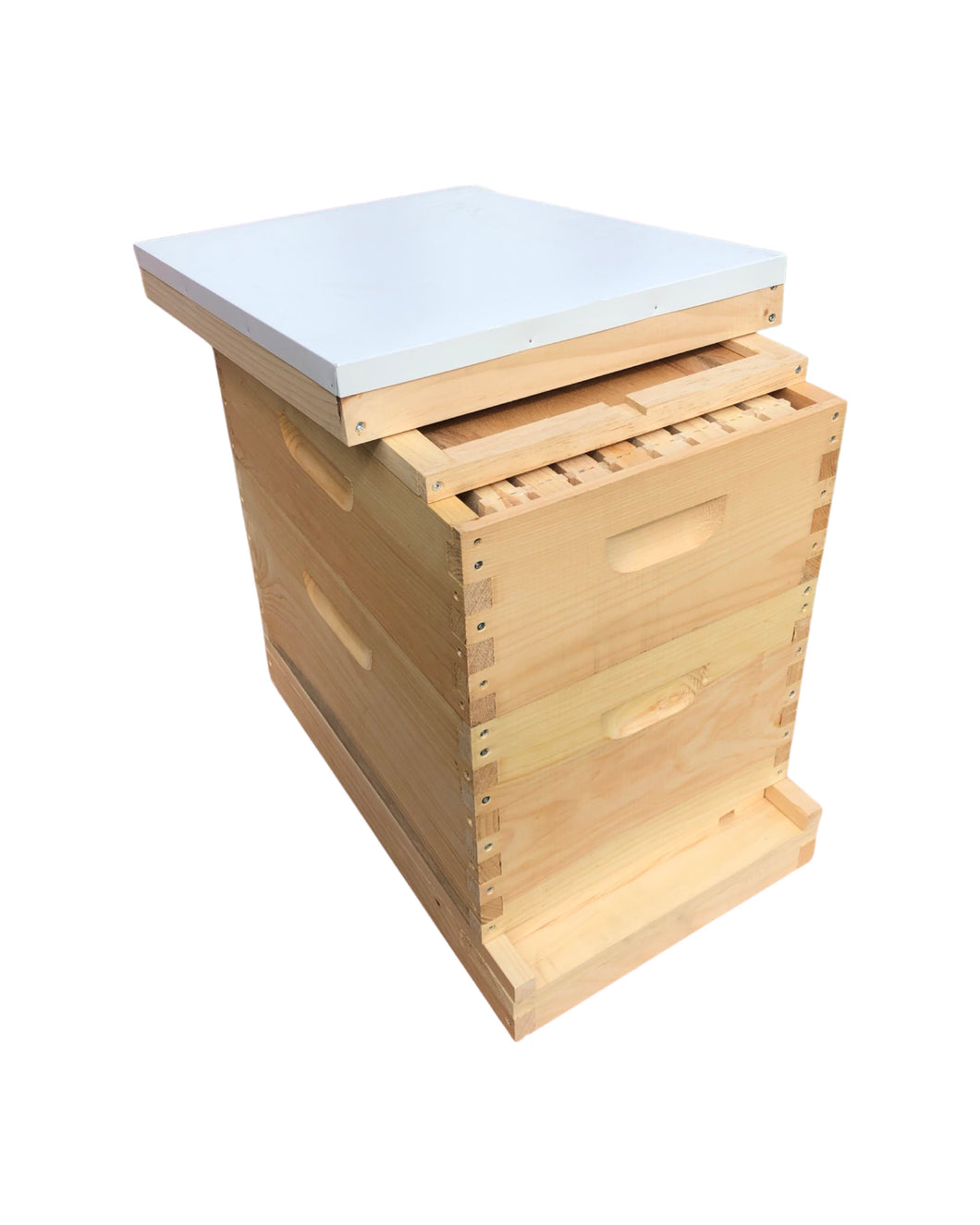 1 Deep & 1 Medium w/Frames Beekeeping Bee Hive Assembled Langstroth