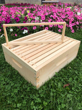 Load image into Gallery viewer, 6 5/8 Honey Super Bee Hive body w/Frames (Un-Assembled)
