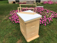 Load image into Gallery viewer, 2 Deep & 1 Medium w/Frames Beekeeping Bee Hive Assembled Langstroth