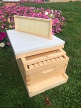 Load image into Gallery viewer, 1 Medium 6 5/8 Complete Bee Hive kit w/Frames & Foundations Un-Assembled Langstroth
