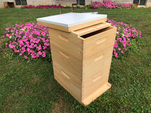 Load image into Gallery viewer, 2 Deep &amp; 1 Medium Beekeeping Bee Hive Body Only (Un-ASSEMBLED) Langstroth
