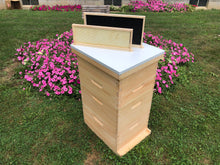 Load image into Gallery viewer, Bee Hive 2 Deep 2 Medium Complete BeeHive kit w/Frames & Foundations (Un-Assembled) Langstroth
