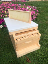 Load image into Gallery viewer, 1 Medium 6 5/8 complete bee hive w/Frames &amp; Foundations Assembled Langstroth
