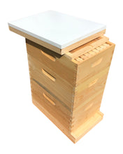 Load image into Gallery viewer, 2 Deep &amp; 1 Medium w/Frames Beekeeping Bee Hive Assembled Langstroth
