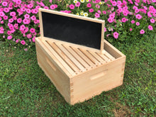 Load image into Gallery viewer, 2 Deep 1 Medium Complete Bee Hive w/Frames &amp; Foundations (Assembled) Langstroth
