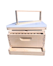 Load image into Gallery viewer, 1 Medium (6 5/8) w/Frames Beekeeping Bee Hive Assembled Langstroth
