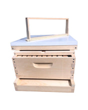 Load image into Gallery viewer, 1 Medium (6 5/8) w/Frames Beekeeping Bee Hive Assembled Langstroth