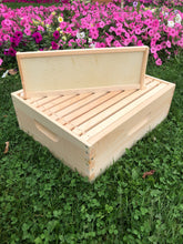 Load image into Gallery viewer, 6 5/8 Med honey super w/ foundations Assembled