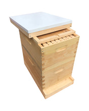 Load image into Gallery viewer, 2 Deep (9 5/8) w/Frames Beekeeping Bee Hive kit Un-Assembled Langstroth