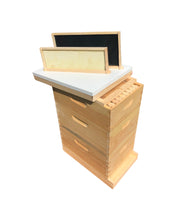 Load image into Gallery viewer, 2 Deep 1 Medium Complete Bee Hive w/Frames &amp; Foundations (Assembled) Langstroth
