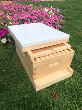 Load image into Gallery viewer, 1 Medium (6 5/8) w/Frames Beekeeping Bee Hive kit (Un-Assembled) Langstroth
