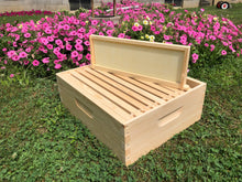 Load image into Gallery viewer, Bee Hive 6 5/8 Med honey super w/Foundations Un-Assembled Langstroth Beekeeping BeeHive
